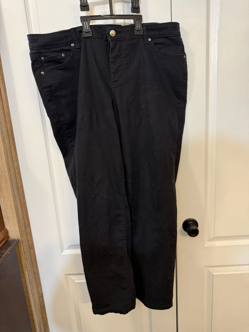 Terra & Sky Black Straight Jeans - 16W